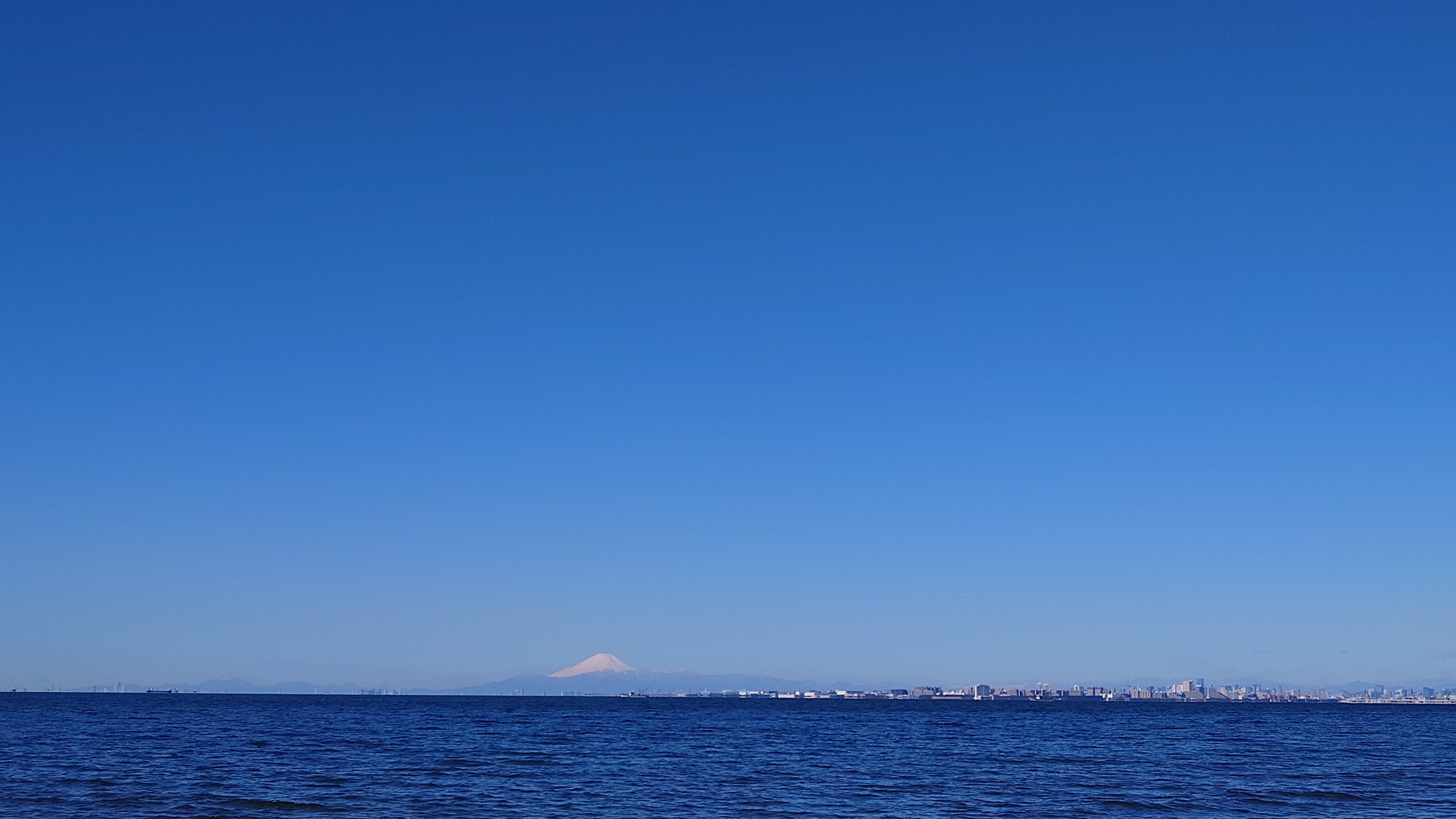幕張海岸 2024/03/10